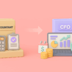 CFO vs Accountant ecommerce